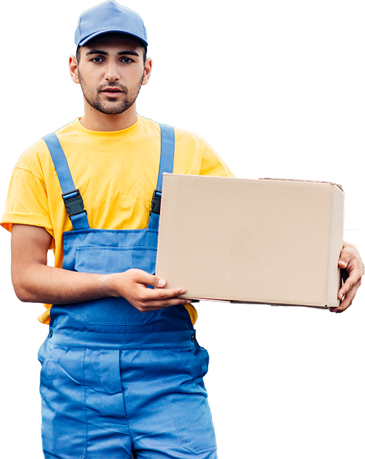 Best Packers and Movers in Padra